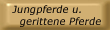 Junge und gerittene Pferde